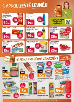 Terno leták (platné do 3-02)