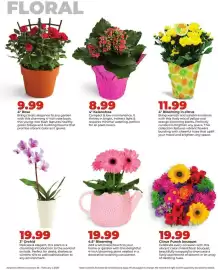 Hy-Vee weekly ad week 5 Page 34