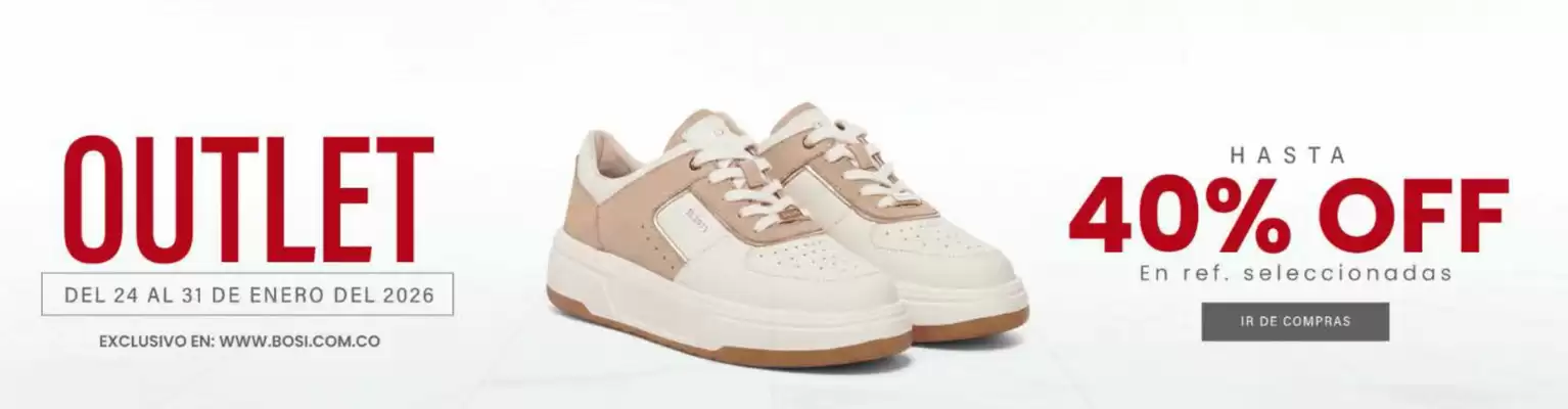 Catálogo Bosi (válido hasta 31-01)