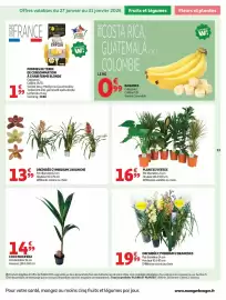 Catalogue Auchan Direct page 53