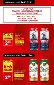 Biedronka gazetka tydzień 5 Strona 13