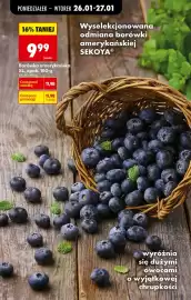 Biedronka gazetka tydzień 5 Strona 21