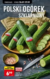 Biedronka gazetka tydzień 5 Strona 22