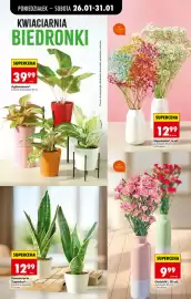 Biedronka gazetka tydzień 5 Strona 23