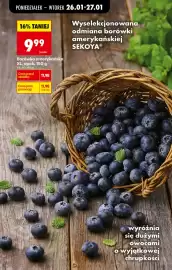 Biedronka gazetka tydzień 5 Strona 64