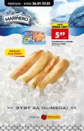 Biedronka gazetka tydzień 5 Strona 65