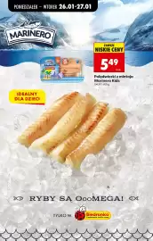 Biedronka gazetka tydzień 5 Strona 66