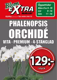 Extra Mjällby Stormarknad reklamblad vecka 5 Sida 14