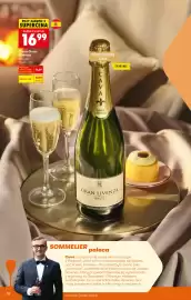 Biedronka gazetka | Alkohole Strona 15