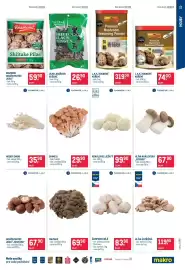 Makro leták Strana 21