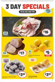 IGA catalogue Page 1