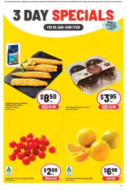 IGA catalogue Page 1