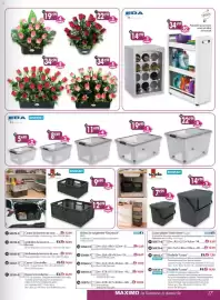 Catalogue Maximo page 17