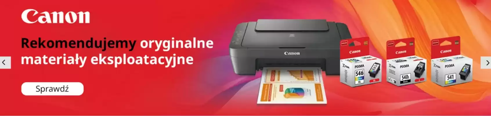 Alsen gazetka (ważność do 1-02)