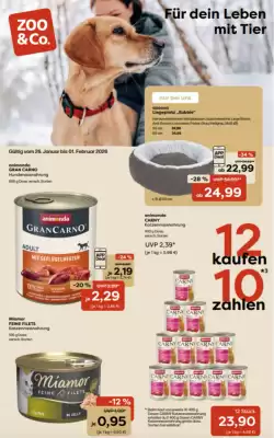 ZOO & Co Flugblatt (gültig bis 1-02)