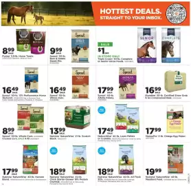 Mills Fleet Farm weekly ad week 5 Page 19