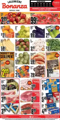 Bonanza flyer (valid until 3-02)