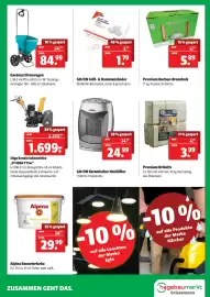 Eurogast Grissemann Flugblatt woche 5 Seite 11