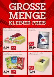 Eurogast Grissemann Flugblatt woche 5 Seite 7