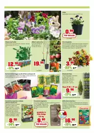 Volantino TuttoGiardino Pagina 2
