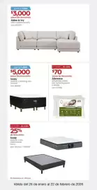 Catálogo Costco Página 21