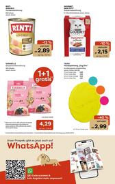 Zoo & Co Prospekt woche 5 Seite 12