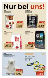 Zoo & Co Prospekt woche 5 Seite 4