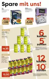 Zoo & Co Prospekt woche 5 Seite 6