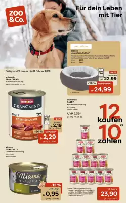 Zoo & Co Prospekt (gültig bis 2-02)