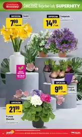 Polomarket gazetka tydzień 5 Strona 42