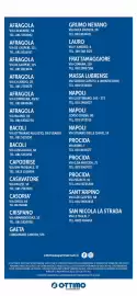 Volantino Ottimo Market Pagina 13