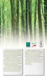 Volantino Foppapedretti Pagina 19