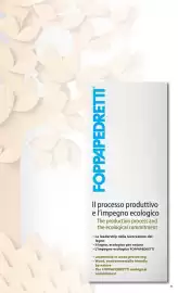 Volantino Foppapedretti Pagina 35