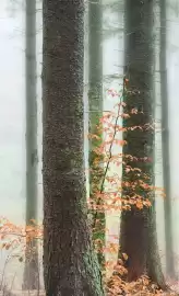 Volantino Foppapedretti Pagina 38