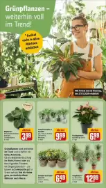 Rewe DE folder week 5 Pagina 9