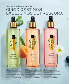 Catálogo L'Bel semana 5 Página 98