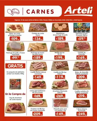 Folleto Arteli (válido hasta 6-02)