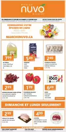 Marche Nuvo flyer Page 1