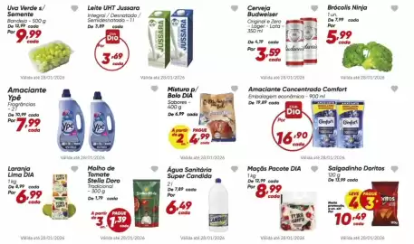 Tabloide Dia Página 4