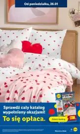 Lidl gazetka Strona 19