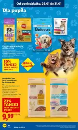 Lidl gazetka Strona 60