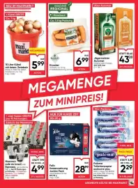 Maximarkt Flugblatt woche 5 Seite 13
