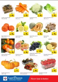 Last Chance flyer Page 2