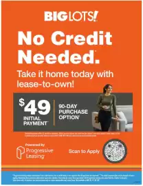 Big Lots weekly ad Page 3