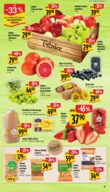 Albert leták týden 5 Strana 10