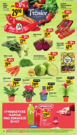 Albert leták týden 5 Strana 9