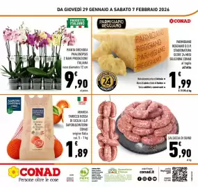 Volantino Conad Pagina 24