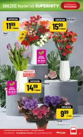 Polomarket gazetka tydzień 5 Strona 43