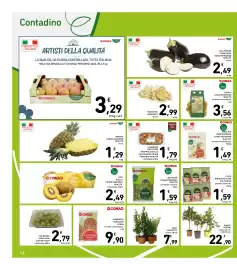 Volantino Spazio Conad Pagina 14