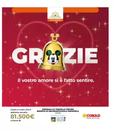 Volantino Spazio Conad Pagina 29